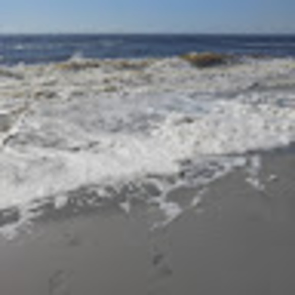 Meet your Posher, Adam - Picture 1 of 1